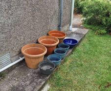 Selection of plastic Garden Pots
