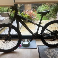 Carrera Blast Junior Mountain Bike 24"