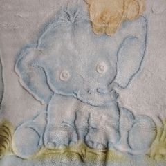 Beautiful Baby Floor Blanket