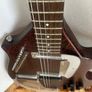 Rogue Electric Sitar Image 4