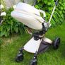 Buggy Max of Aulon Image 2