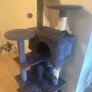 Cat Tree Image 3