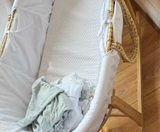 Moses Basket