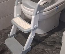 Potty Training Stairs