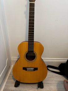 SX Custom Guitar