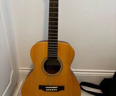 SX Custom Guitar