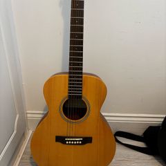 SX Custom Guitar