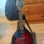 Left Handed Mandolin with broken nut Image 4