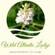 The Wild Atlantic Lodge