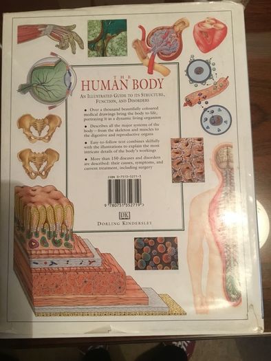 Guide To The Human Body Structure Function And Disorders For Sale in ...