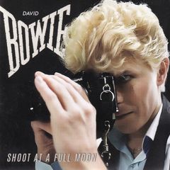 Bowie Sound of Gold 10 Disc Silver Edition