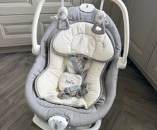 Joie Emeri 2-in-1 Baby Swing and Rocker Fern