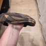 Flat cap brand new free postage Image 2