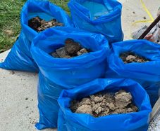 FREE Garden Soil