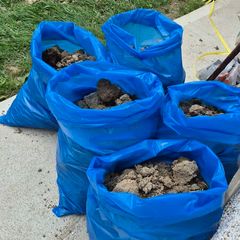 FREE Garden Soil