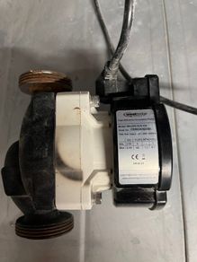 Westbridge circulation pump