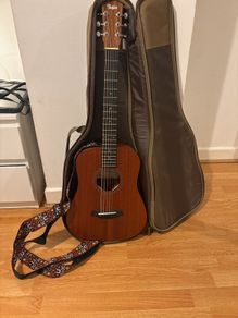 Taylor BT2e