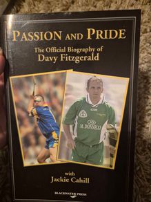 Davy Fitzgerald Biography Passion and Pride