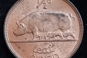 Ireland - 1966 - Half Penny - Sow - UNC - KM.10 - [2031]