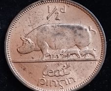 Ireland - 1966 - Half Penny - Sow - UNC - KM.10 - [2031]