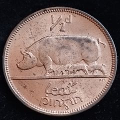 Ireland - 1966 - Half Penny - Sow - UNC - KM.10 - [2031]
