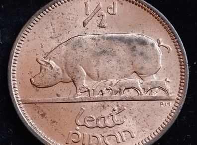 Ireland - 1966 - Half Penny - Sow - UNC - KM.10 - [2031]