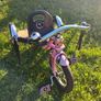 Childs tricycle Image 8