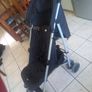 buggy Image 6