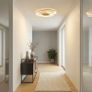 Ceiling Light Image 3
