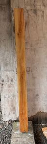 Pine / red deal beam