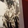 Aidan Higgins/ Donkey's Years / Autobiography/ 1996 Image 2