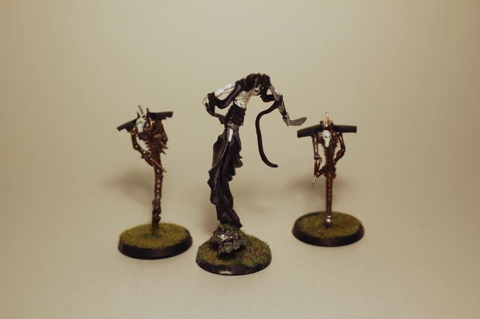 Necron Wraiths, C'tan Nightbringer Warhammer 40k