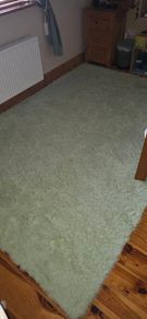 Mint green washable rug