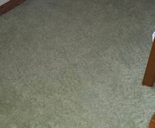 Mint green washable rug