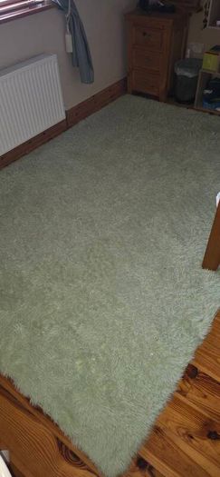 Mint green washable rug