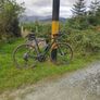 Canyon Endurace Image 2