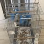 cage Image 4