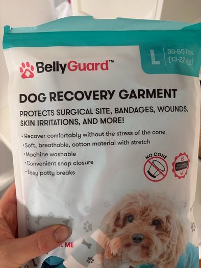 Large recovery surgery suit