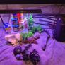 Complete 200L Aquarium Pro-Bundle Image 3