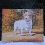 Victor M Mc Curry Jack Russell Oil on Board Image 2