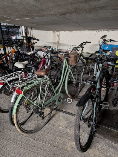 Martello lady bike
