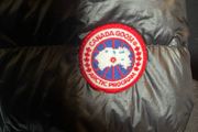 canada goose hybridge