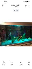 Fish tank