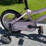 bike Image 4