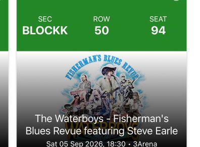 The Waterboys - 3 Arena Sat 5th September