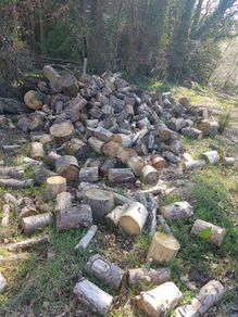 Firewood
