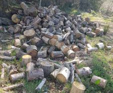 Firewood