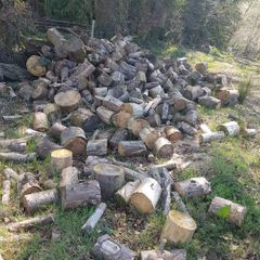 Firewood