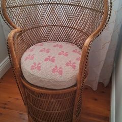 Childrens Peacock Chair