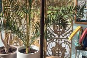 Bentwood Coat Stand